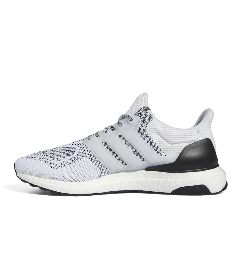 Ultraboost 1.0 DNA
