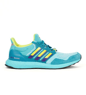 Ultraboost 1.0 DNA