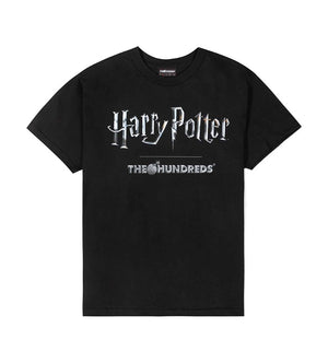 Harry Potter Title T-Shirt (Black)
