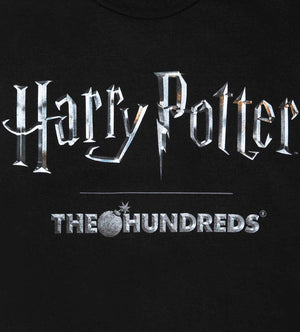 Harry Potter Title T-Shirt (Black)