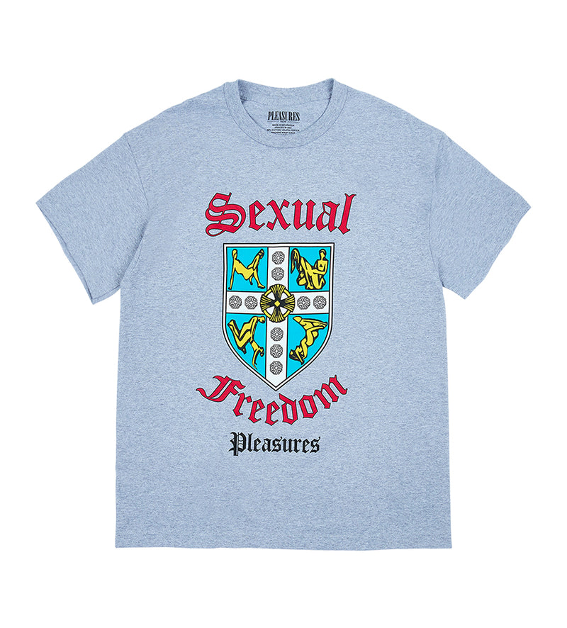 Educated T-Shirt (Heather Grey)