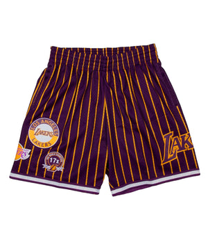 Los Angeles Lakers City Collection Mesh Shorts (Purple / Gold)